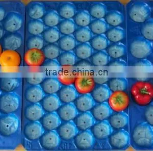 SGS Certificate Pure Material Made Plastic Packaging Inner Tray thumbnail-3
