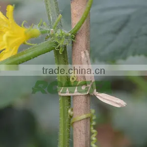 3mm x 30m Gardening Use Coiled Kraft Paper Twist Ties in Diapenser thumbnail-6