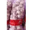 Garlic in Mesh Bag thumbnail-1