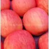 Fuji Apple thumbnail-1