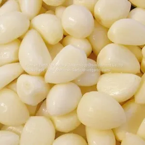 Garlic Clove thumbnail-1