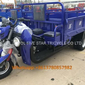 Gasoline Tricycle Cargo Loader Lovol Three Wheeler Mali Ethiopia Ghana Bukina Faso Tanzania Kenya Senegal Togo Benin Nigeira Mauritania Angola Burundi Chad Cameroon C ô te D'Ivoire Gabon Guinea Mozambique Rwanda Congo Uganda Zimbabwe thumbnail-1