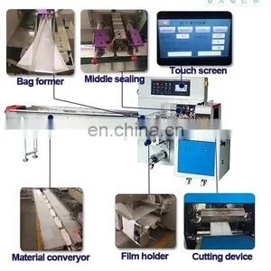 Automatic Multifunction Face Mask Packing Machine thumbnail-5