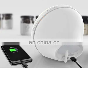 High Quality Plastic Battery Operated Rgb Lamps Home Decor Night Light thumbnail-5