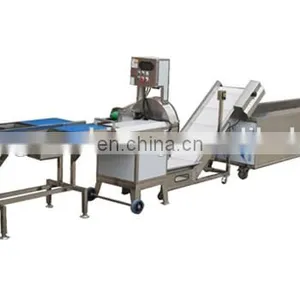 Stainless Steel Apple/pear/mango/fruit/vegetable Washing/cleaning/processing Machine/equipment thumbnail-5