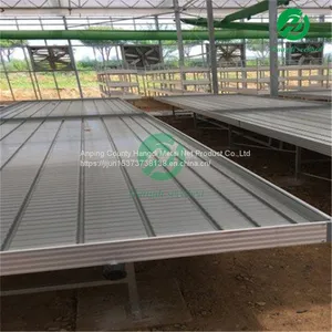 Agricultural Planting Rolling Bench Ebb and Flow Tray Tobacco Seedbed in Greenhouse thumbnail-3