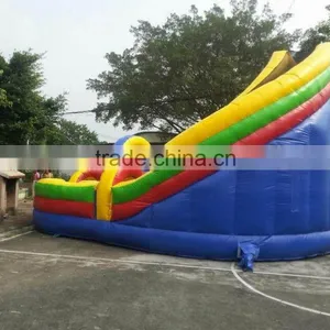 2015 Gaint PVC Trapualin Inflatable Water Slides ,inflatable Land Slider for Sale thumbnail-1