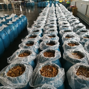 Xiuyan Funong Edible Fungi Production Professional Cooperatives company overview - view 2 thumbnail