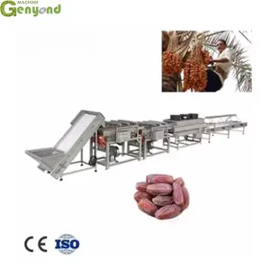 GY High Quality Date Palm Puree Pulp Paste Sauce Processing Making Production Machine Line thumbnail-5