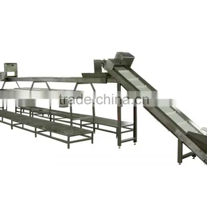 Double Conveyor/Vegetable Conveyor thumbnail-4