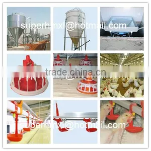 Automatic Poultry Farm Equipment for Chicken thumbnail-2