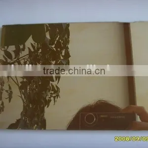 4-6mm Bronze Tinted Glass/Decorative Window Glass thumbnail-3