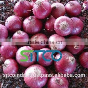 ONION thumbnail-5