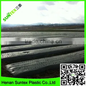 PE Plastic Black-Silver Plastic Mulch Film Punch Hole /agricultural Mulch Film/biodegradable Mulch Film thumbnail-2