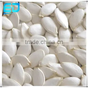 Nuts Agriculture and Nut in Dalian Pumpkin Seeds for Grade A Snow White thumbnail-1