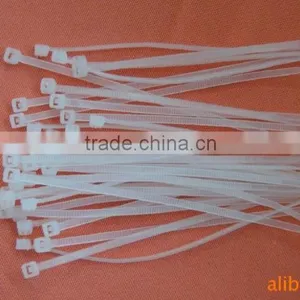 Hot Sale Quality Mountable Nylon Cable Ties 3*100 thumbnail-4