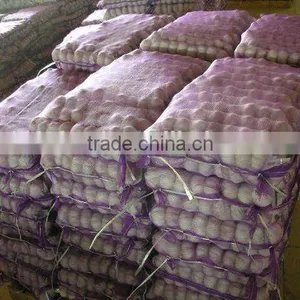 Shandong Garlic thumbnail-6