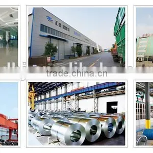 PPGI Steel Coil / Roof Building Material With Akzo Paint thumbnail-5
