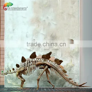 Dinosaur Fossil Replica for Dinosaur Museum Educational Sample thumbnail-4