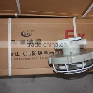 Ccd96 Explosion Proof Maintenance Free Energy Saving Lighting thumbnail-6