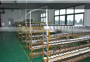 Foshan Xinruilai Lighting & Electrical Co., Ltd. company overview - view 3 thumbnail