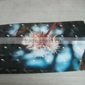 2015 Lowest Price Crytal Laminator Film thumbnail-5