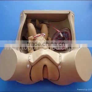 Birth Giving Model Medical Model Training Model thumbnail-3