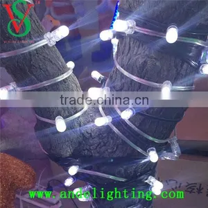 12v Led Lights Belt Light Outdoor Christmas Decorations Light thumbnail-5