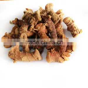 High Qualiry Galangal Roots thumbnail-1