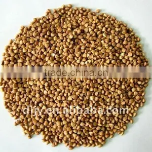 Buckwheat Rice New Crop 2011 thumbnail-1