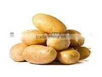 Fresh Potato Price per Ton thumbnail-1