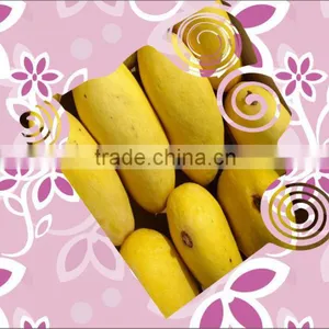 Pakistani Mango thumbnail-1