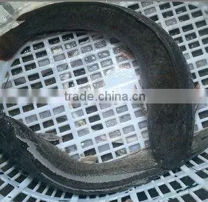 Fresh Frozen Catfish Whole Round Farm Raised thumbnail-1
