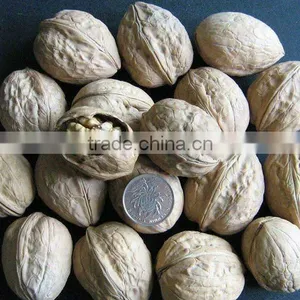 Supplying the Walnuts in Shell , Walnut Kernels thumbnail-1