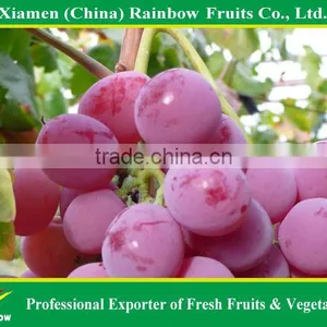 Globe Price Of Chinese Fresh Red Globe Grape thumbnail-5