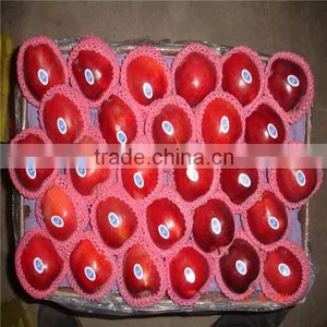 Huaniu Apple/Red Mature Huaniu Apple Factory thumbnail-2