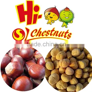 IQF Chestnuts From China Grade C Peeled Chestnuts thumbnail-2