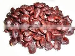 Tamarind Seeds thumbnail-1