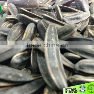 Raw Black Long Shape Sunflower Seeds thumbnail-1