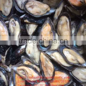 Wholesale High Quality Half Shell Mussel With Good Price and High Quality thumbnail-3