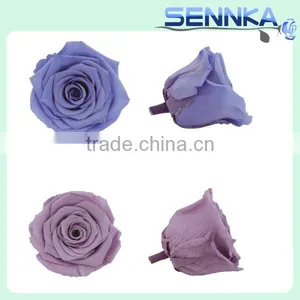 Preserved Fresh Flower Home Decoration Wedding Gifts Wholesale thumbnail-2