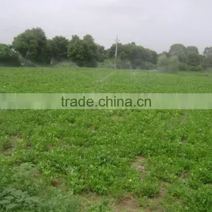 Brass Nozzle for Sprinkler Irrigation System thumbnail-3