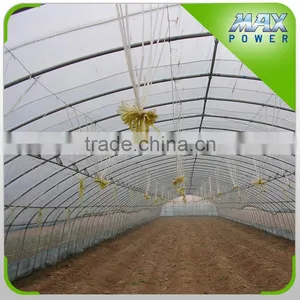 Hot Sale Cheap Poly Agriculture Potato Tunnel Greenhouse thumbnail-1