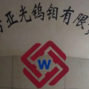 Zhuzhou Zhenfang Yaguang Tungsten-Molybdenum Co., Ltd company overview - view 1 thumbnail