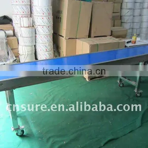 Food Packing Conveyor System thumbnail-1