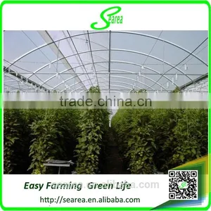 Galvanized Steel Frame Polytunnel Greenhouse thumbnail-3