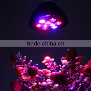 PAR38 Plant Light Bulb E27 12W 15W 18W Grow Led Light/ Led Grow Light thumbnail-6