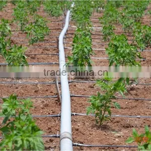 16mm/20mm Drip Irrigation Pipe Drip Pipe Drip Inline Pipe thumbnail-5