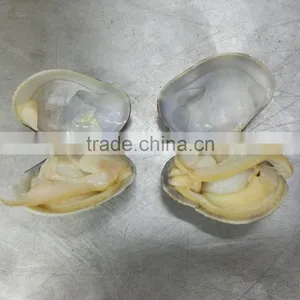 Frozen Cooked Short Necked Clam No Sand No Shell Pieces thumbnail-2