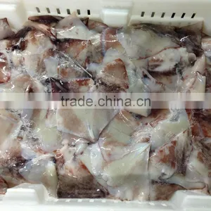Frozen Squid Wing thumbnail-1